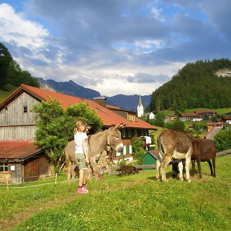 Haus Willi Leilighet Oberstdorf Eksteriør bilde